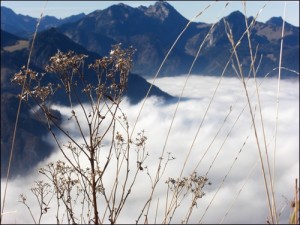 Heuberg im Chiemgau