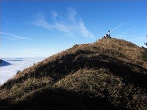 Chiemgauer Heuberg