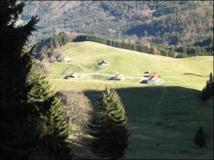 Almen am Heuberg im Chiemgau