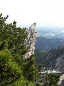 wandern Tannheimer Tal