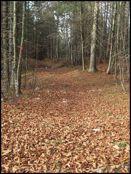 Staffel Herbst Herbst im Isarwinkel