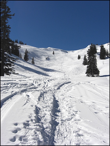 Schneeschuhtour Sonnberg