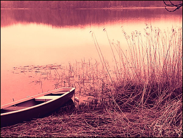Seehamer See mit rosa Brille