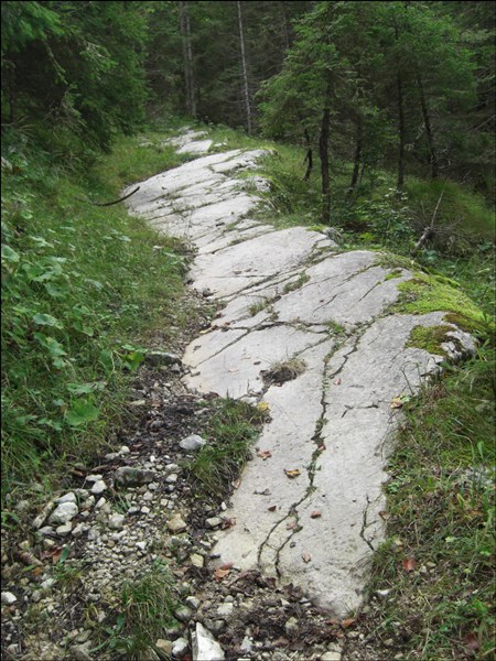 Wanderpfad zum Schafreuter