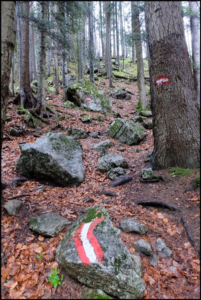 Wanderweg im Chiemgau