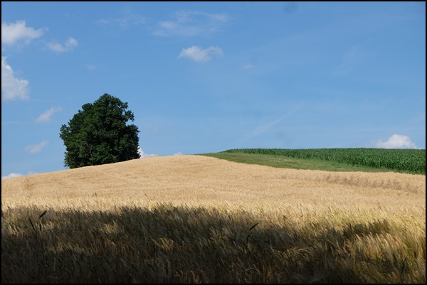 Ilztal Dreiburgenland