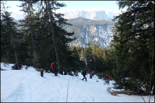 ...und dann gleich durch den Wald, Höhe verlieren 