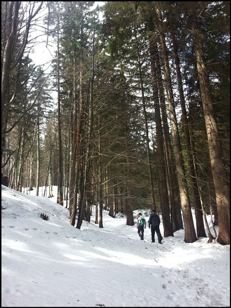 Schneelage (1) auf dem Weg von Sachrang zum Spitzstein (ab Parkplatz an der Kirche)