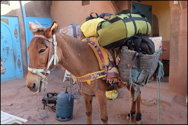 Gepäcktransport im Hohen Atlas in Marokko