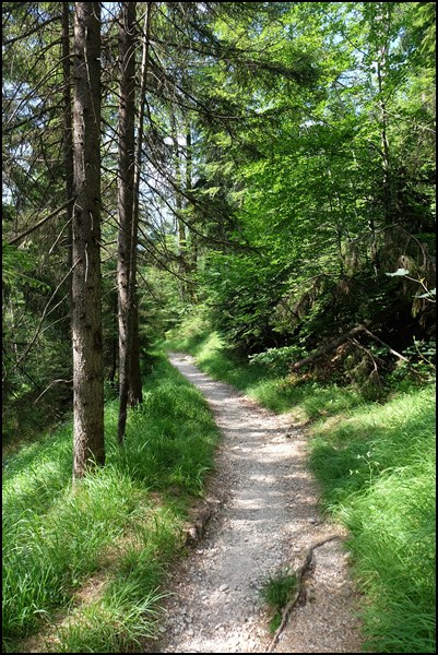 Waldweg zum Kramer