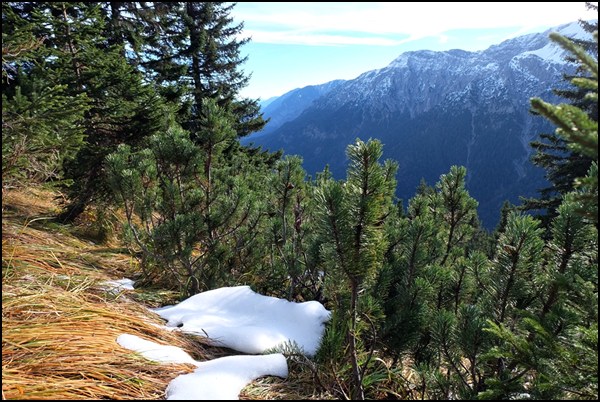 Scheinbergspitze in den Ammergauer Alpen