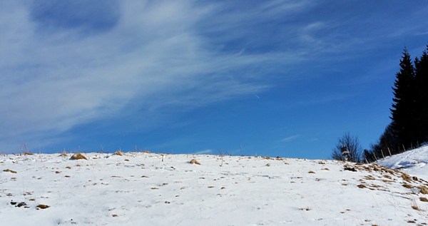 Winterwonderland an der Chiemgauer Hochplatte