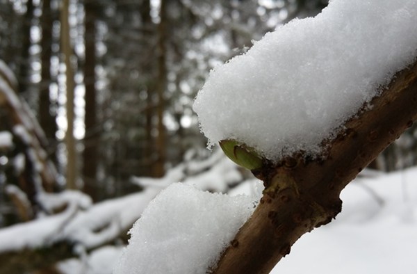 Winter und Frühling im Chiemgau