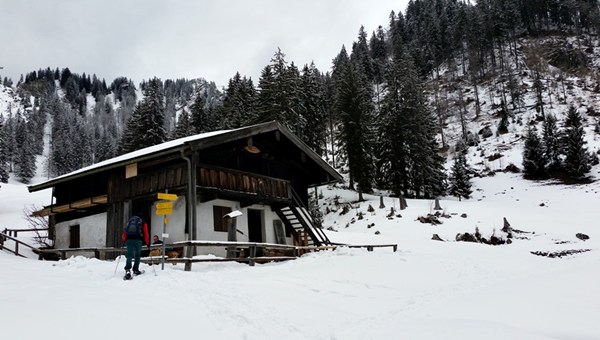 auf der Branderalm, 1.150m