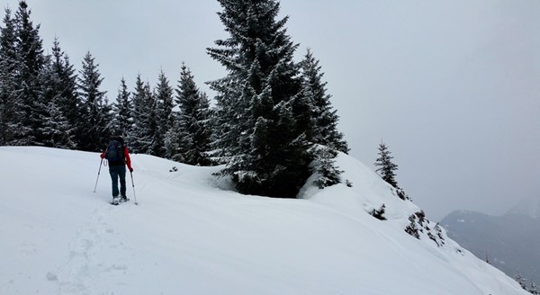 mit Schneeschuhen Richtung Sulzgrabenkopf