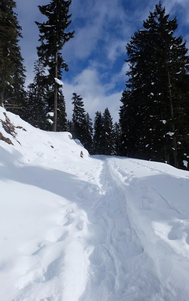 Leutasch Schneeschuhwandern