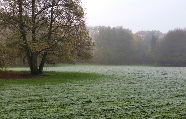 Hirschgarten an einem frostigen Herbst-Morgen