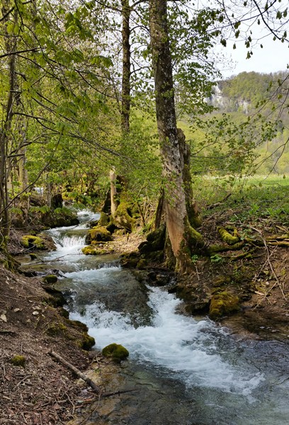 Frühling am Brühlbach bei Bad Urach