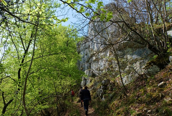 Gut für die Gelenke: wandern!