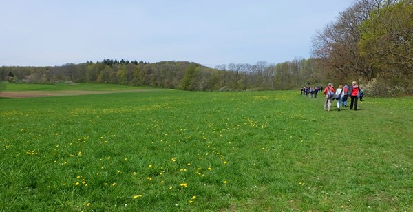 Bequem zu gehen, "oben" auf dem Plateau der Schwäbischen Alb