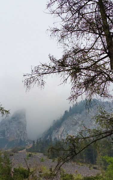 Nebel unterhalb des Rauschbergs