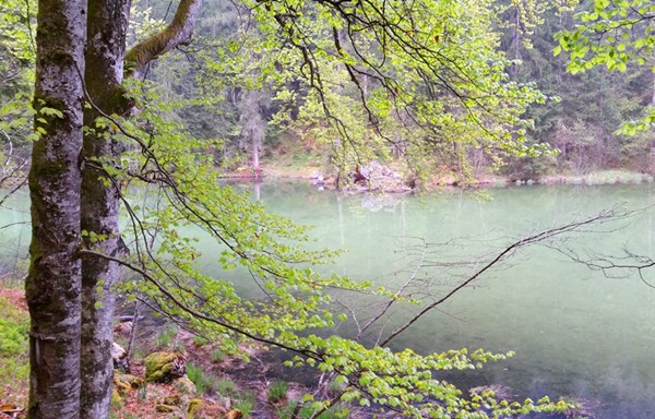 Taubensee im Frühling