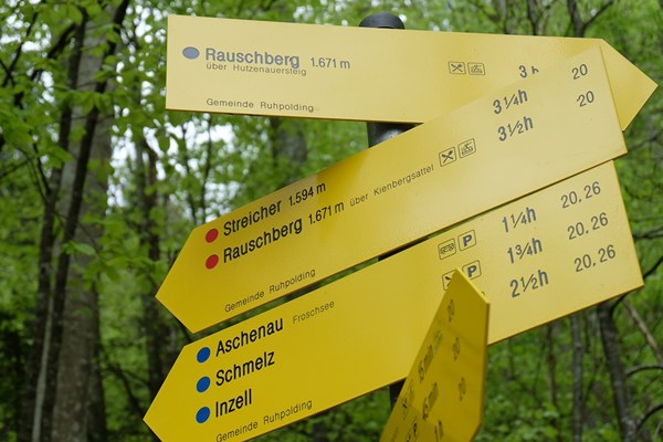 Schilderwald im Wald bei Ruhpolding