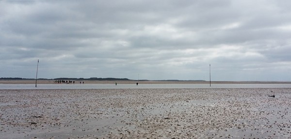 Nationalpark Schleswig-Holsteinisches Wattenmeer 