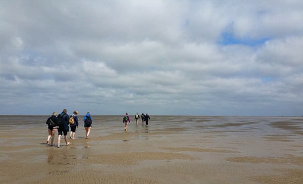 Wattwanderer zwischen Amrum und Föhr