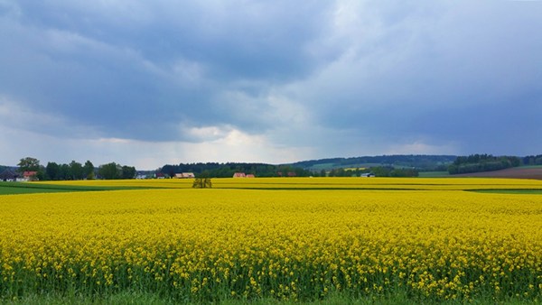 Regenwolken nähern sich...