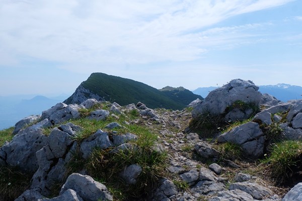 Blick vom Gamsknogel zum Zwiesel