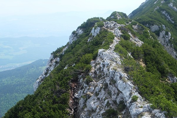 Gratwanderung zum Zwiesel