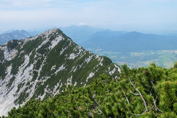 Blick auf den Grat zwischen Gamsknogl und Zwiesel
