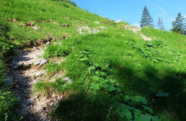 Zwischen Tutzinger Hütte und Benediktenwand