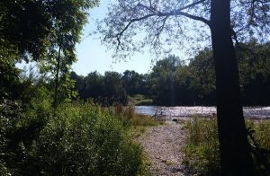 Mit dem MTB in den nördlichen Isarauen