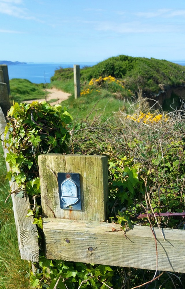 Der Küstenwanderweg in Cornwall | England