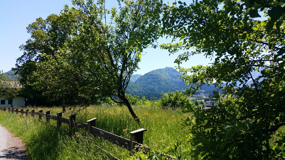 In der Nähe von Kössen mit dem Mountainbike.