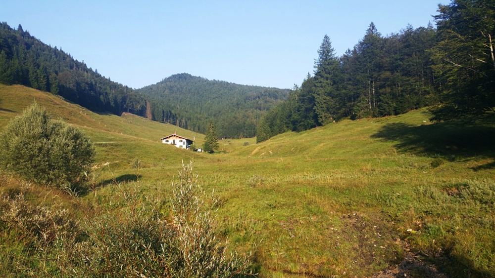 Jochbergalmen, Reit im Winkl