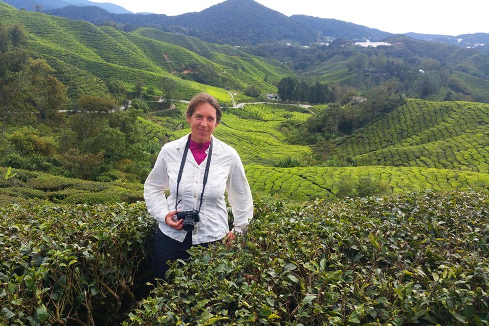 Gipfelglück in den Tee Feldern der Cameron Highlands