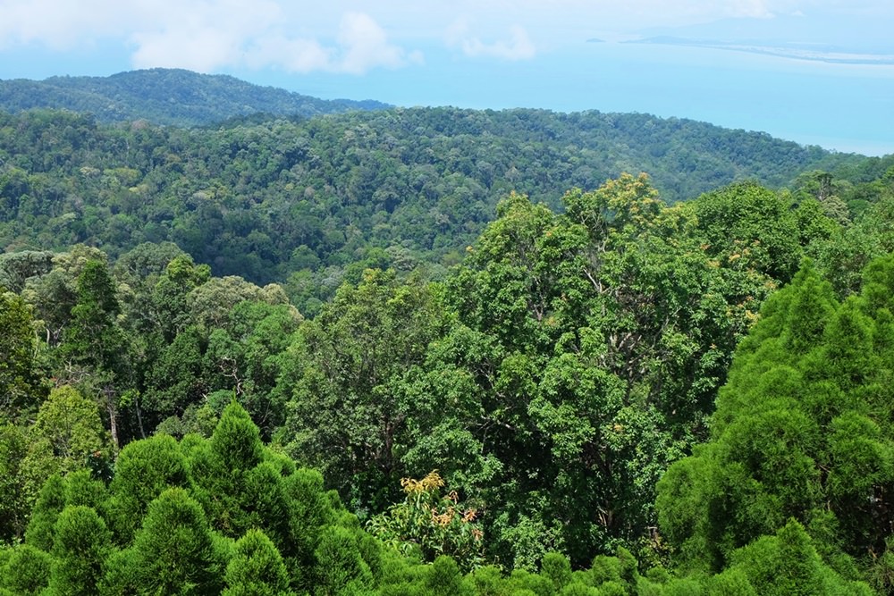 Aussicht auf Dschungel und Meer vom Penang Hill aus | Malaysia