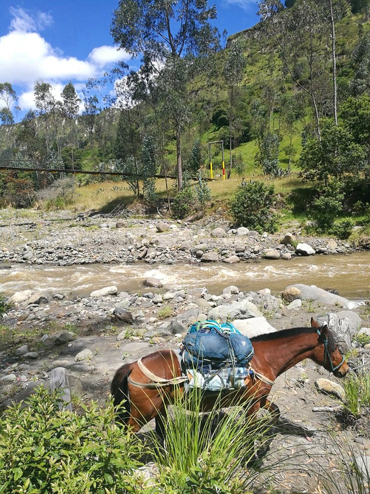 Unser Pferd trägt unseren Rucksack - am Rio Toachi/ Quilotoa Loop in Ecuador