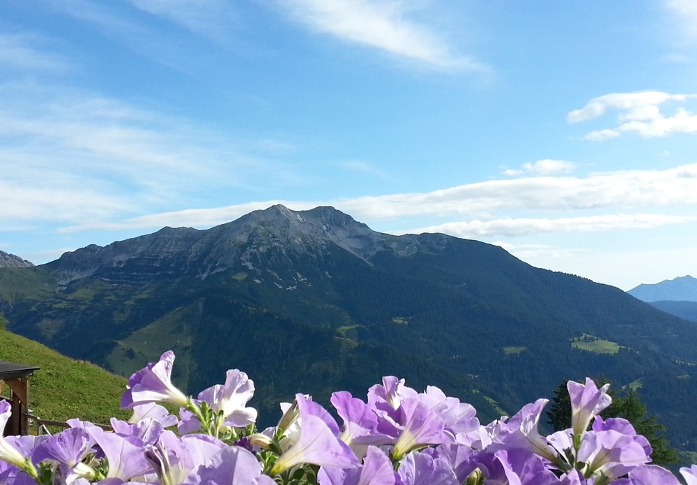 Blick zum Daniel - allerdings ein Archivfoto, aufgenommen auf der Wolfratshauser Hütte!