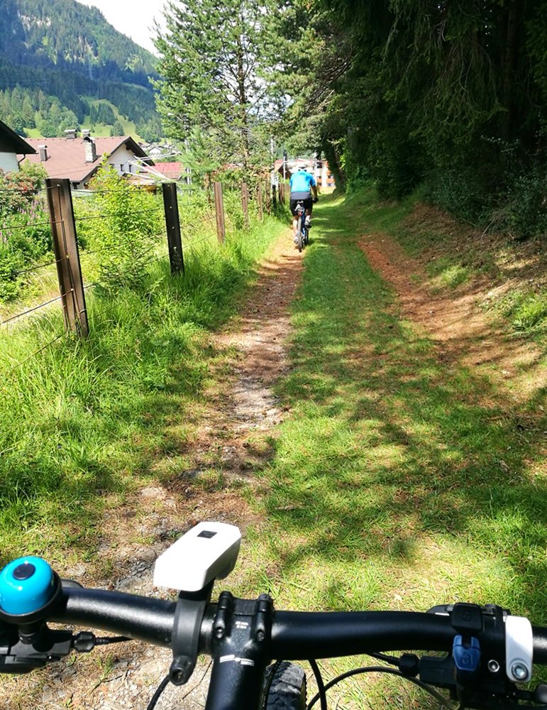 Gemütliche Trails bei "Rund um den Daniel" in der Nähe von Lermoos/ Tirol