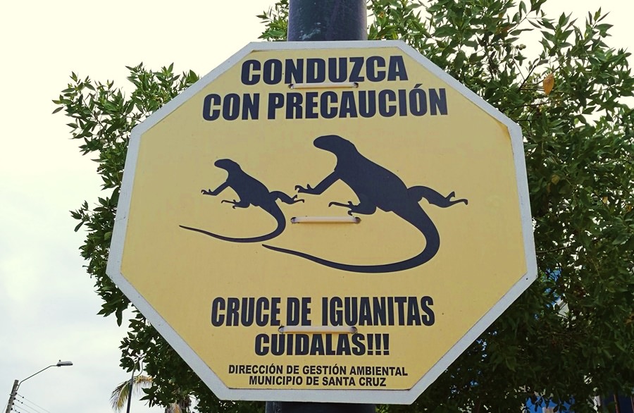 Straßenschild Santa Cruz, Galapagos