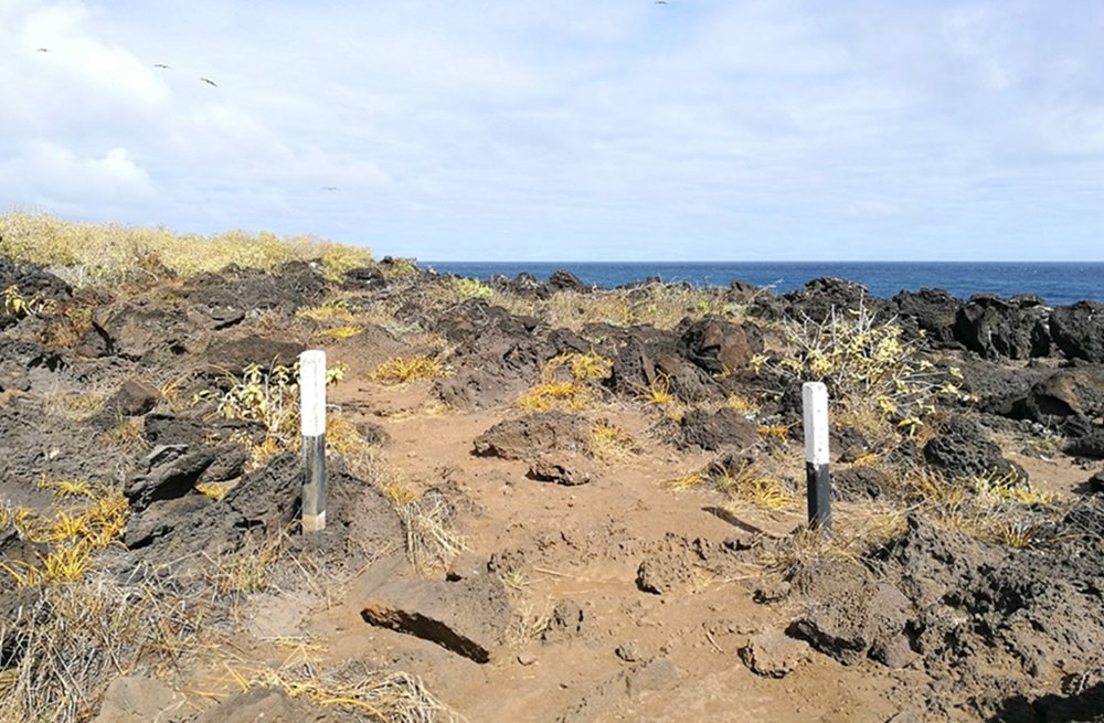 Der Pfad zwischen Strand und Klippen - Loberia auf der Insel San Cristobal, Galapagos