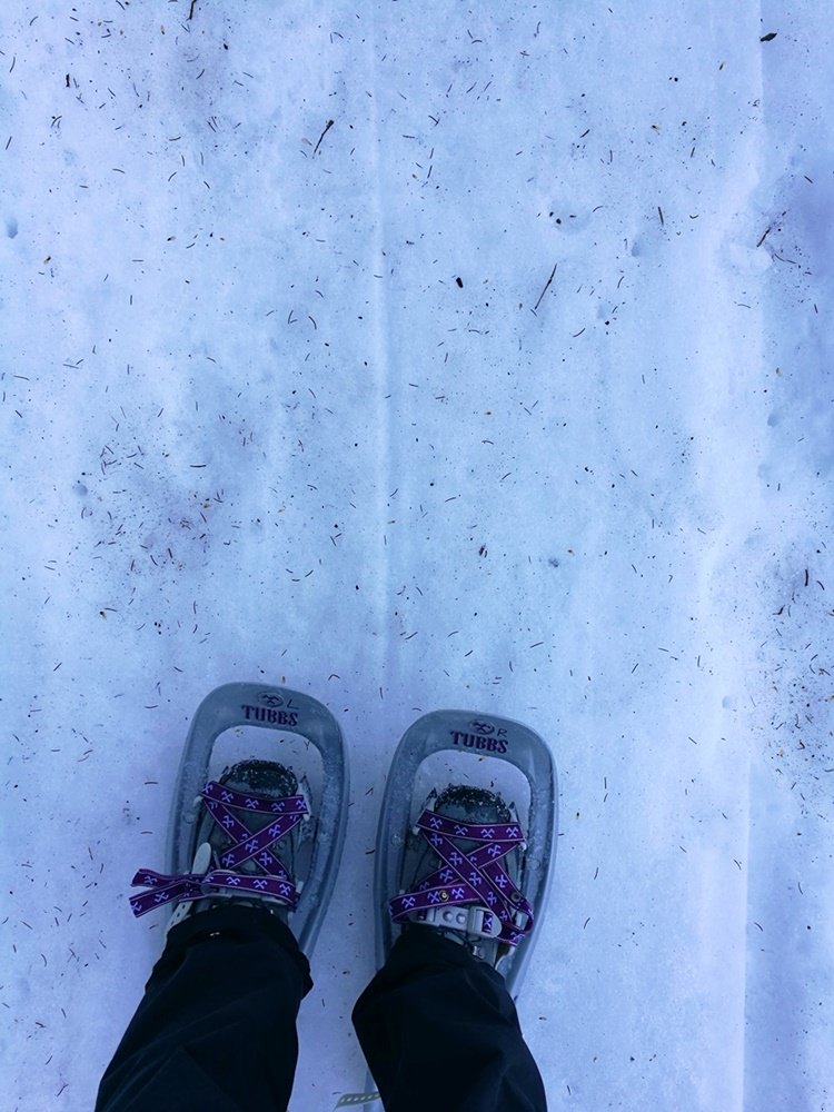 Schmutziger Schnee im Wald - Tannennadeln, Äste, Erde, Matsch... Zeichen von Frühling.