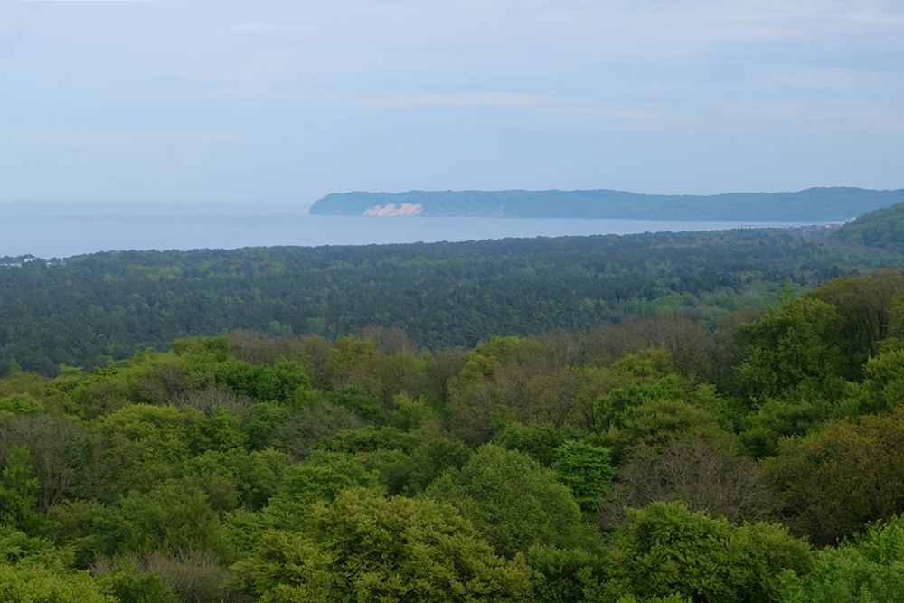 Blick vom Aussichtsturm des Baumwipfelpfads auf die Ostsee und die Buchenwälder Rügens