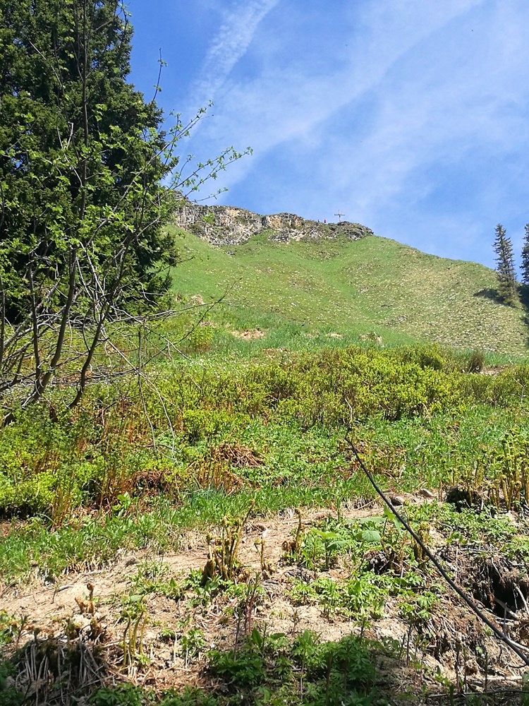 Gipfelkreuz in Sicht - die letzten steilen Meter zum Hochgern