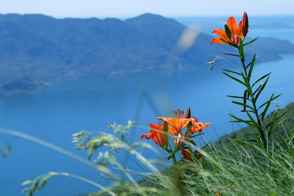 Idylle über dem Lago Maggiore, wo man einst Krieg führte. 