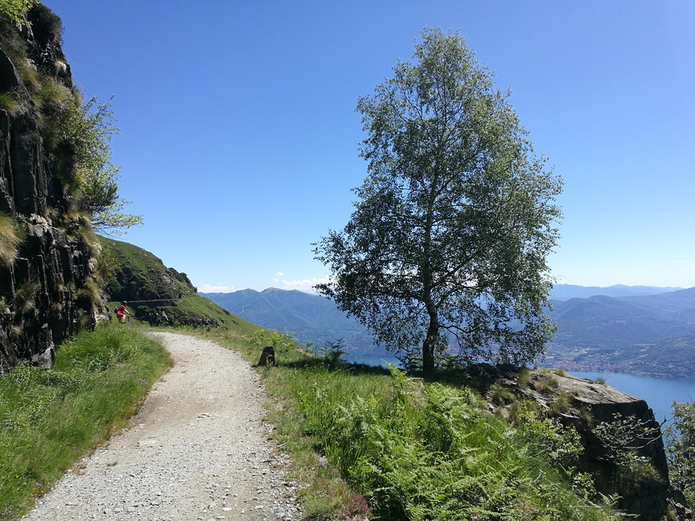 Friedlich führt der Radweg durch grüne Wiesen hoch über dem blau leuchtenden See. Nie wieder Krieg!